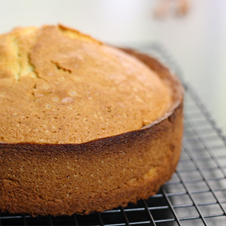 sponge-1