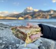 sandwich grillé oeuf fromage jambon
