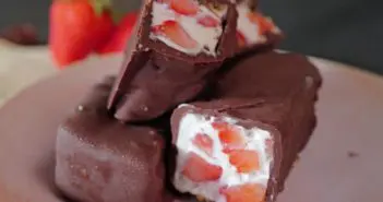 La recette des bouchées glacées au yaourt grec enrobées de chocolat barres glacées au yaourt