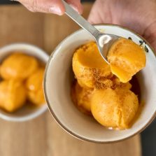 sorbet melon abricot