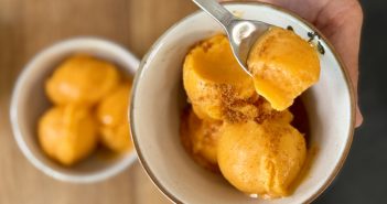 sorbet melon abricot