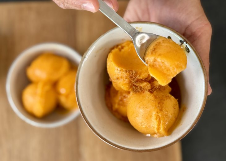 sorbet melon abricot