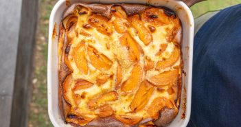 clafoutis aux abricots